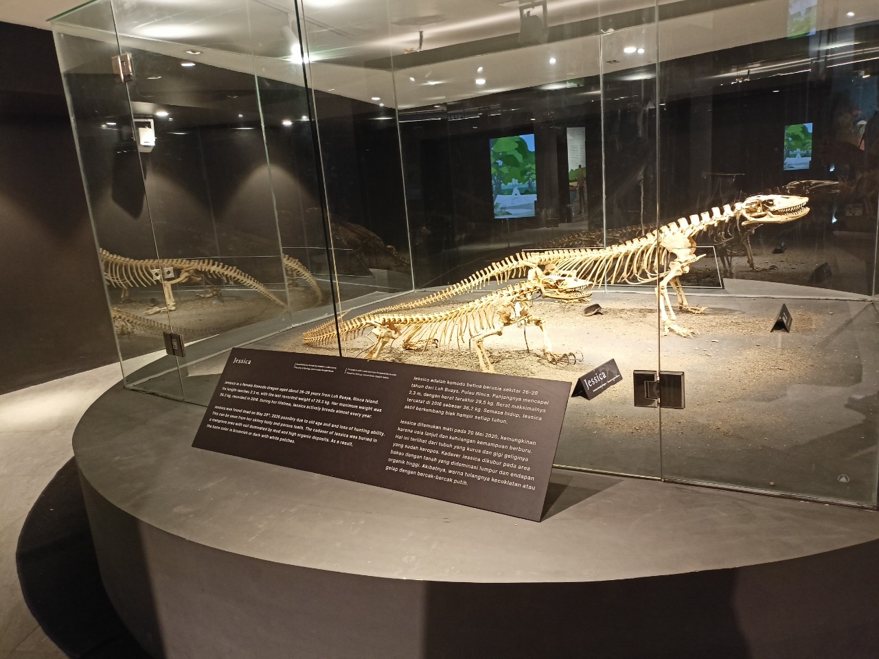Kunjungan Petinggi UNDP ke Taman Nasional Komodo